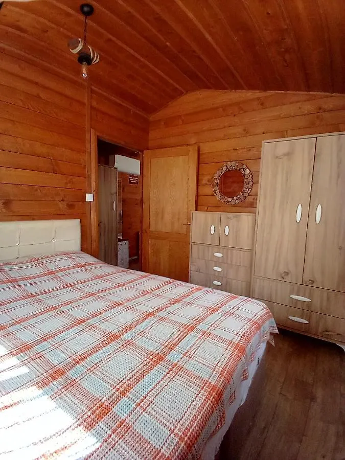 Defnewoodhome Bodrum 0*,  Turkey