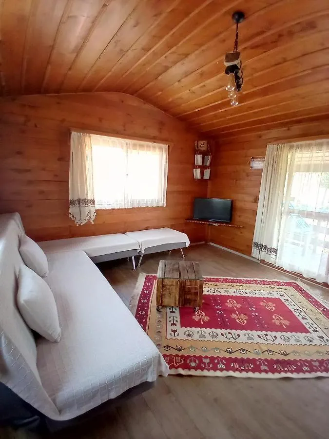 Defnewoodhome Bodrum