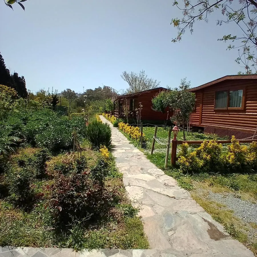 Defnewoodhome Bodrum